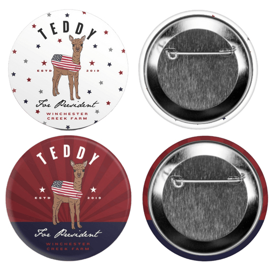 Teddy For President Campaign Button Pin