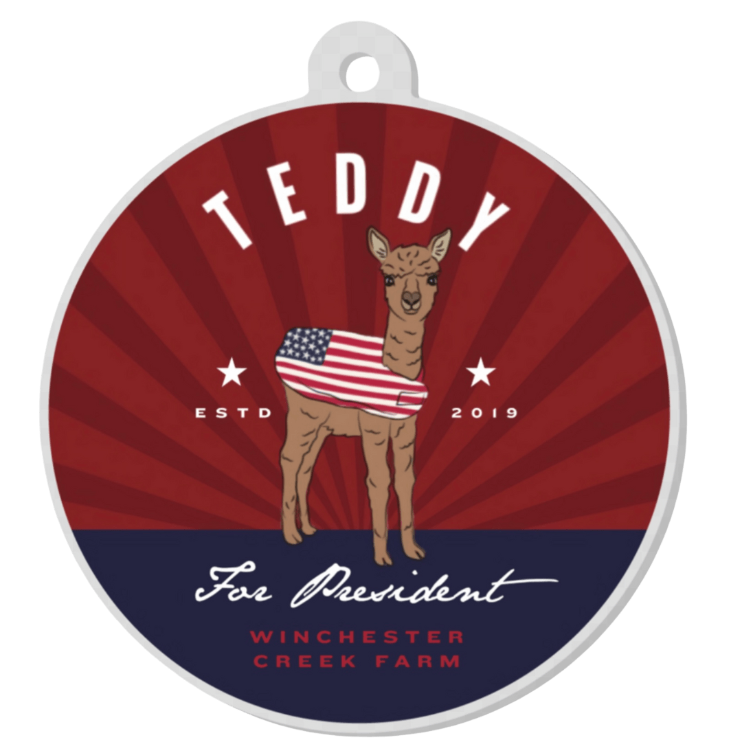 Teddy For President Red Keychain