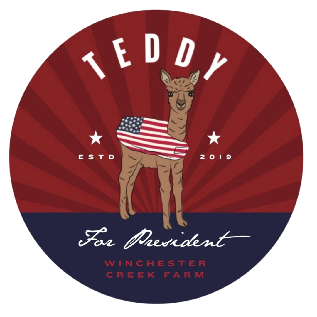 Teddy For President Red Magnet