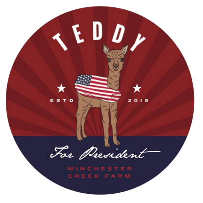 Teddy For President Campaign Button Pin