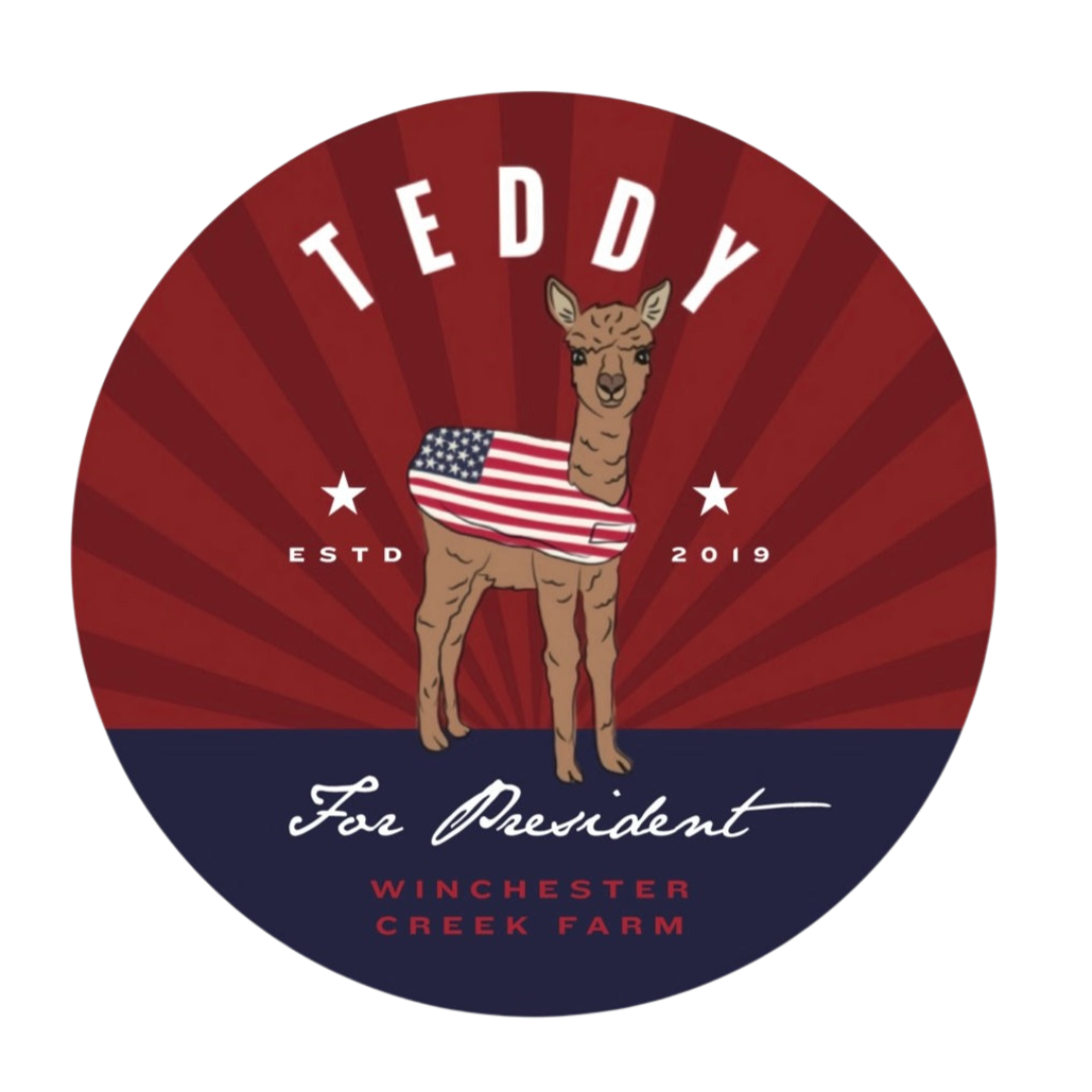 Teddy For President